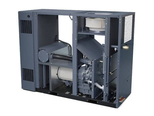 Atlas ZR37-55VSD Oil Free Screw Air Compressor For Product Safety And Reliability